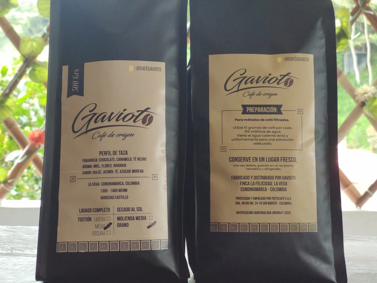 GAVIOTO1