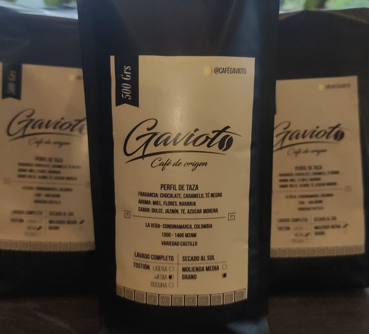 GAVIOTO3