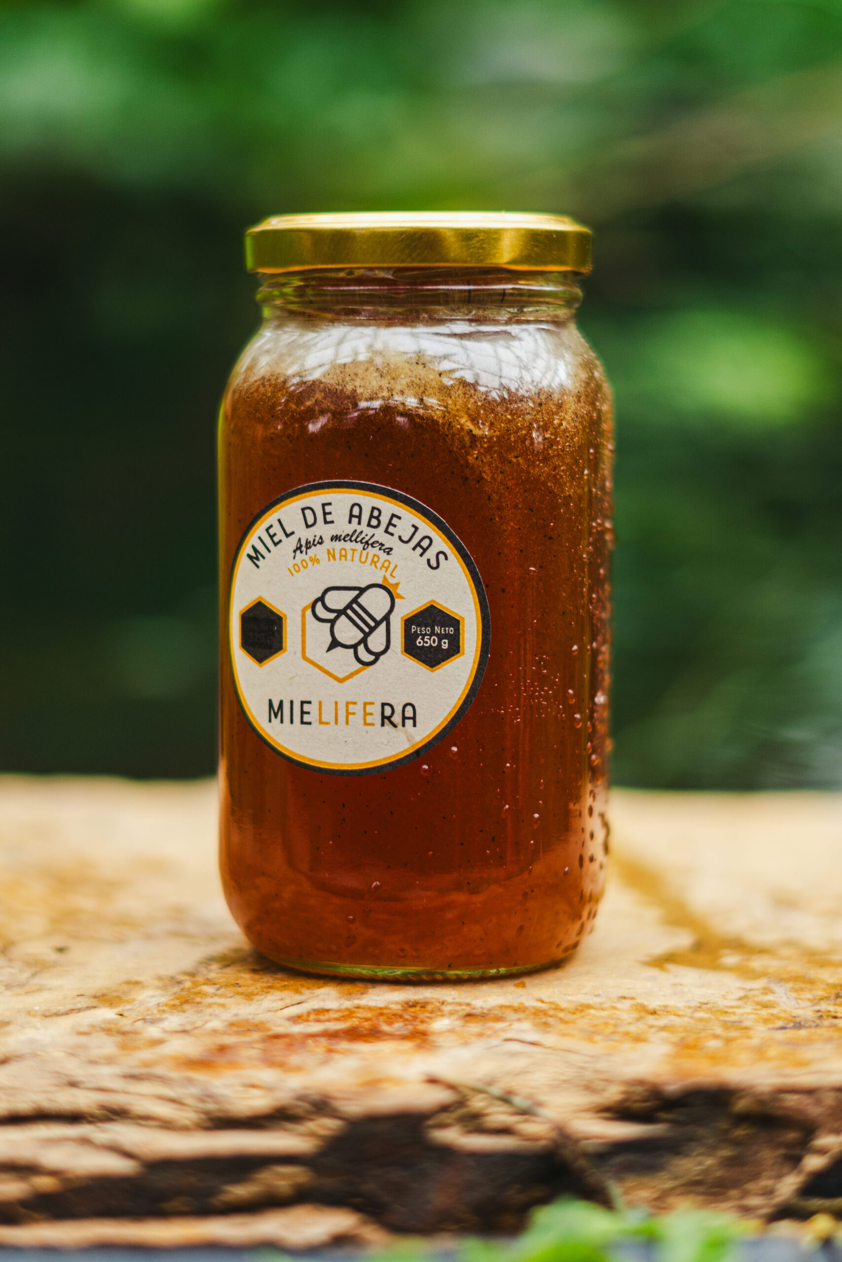 Mielifera_650